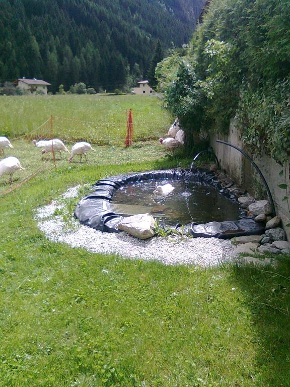 Luenerhof Guest House Neustift im Stubaital Exterior photo
